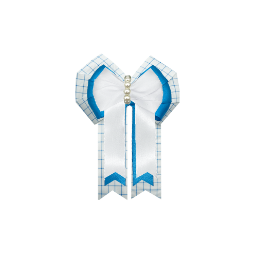 Custom Bow