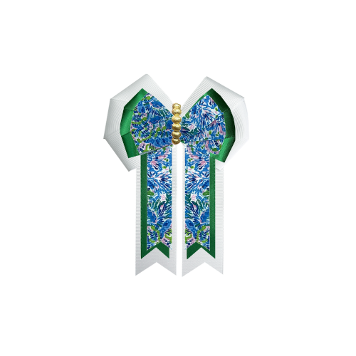 Custom Bow