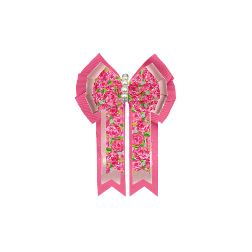 Custom Bow