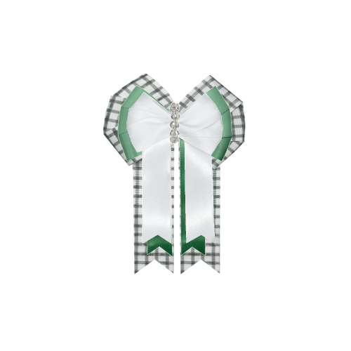 Custom Bow