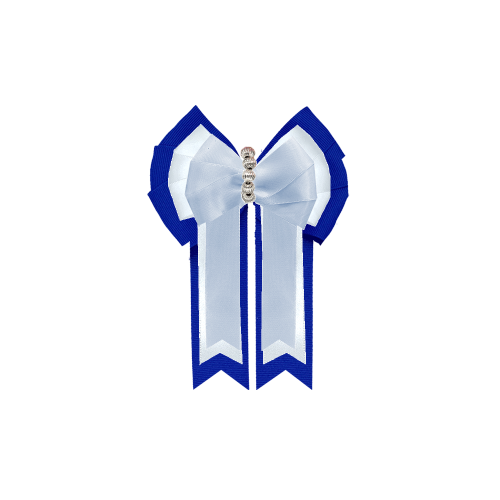 Custom Bow