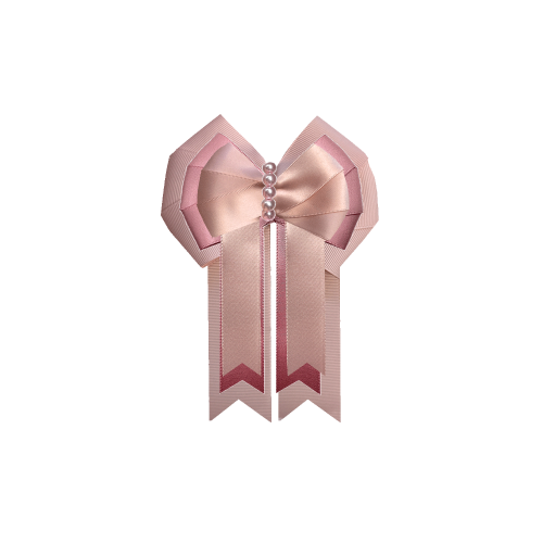 Custom Bow