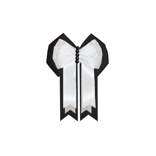 Custom Bow
