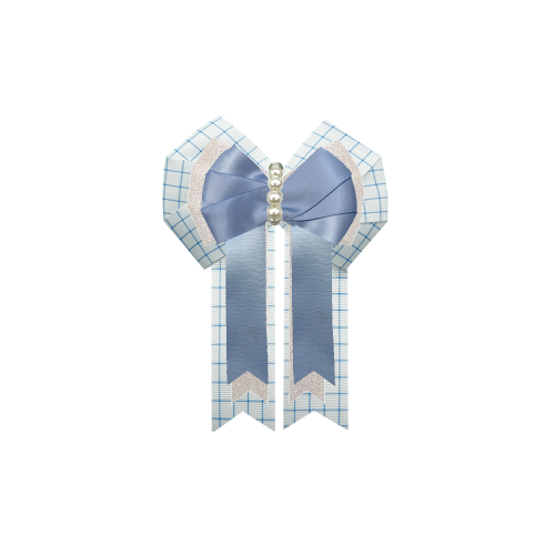 Custom Bow