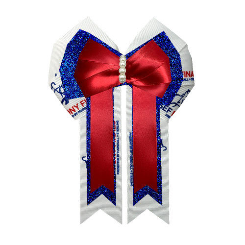 Custom Bow
