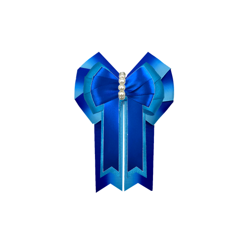Custom Bow