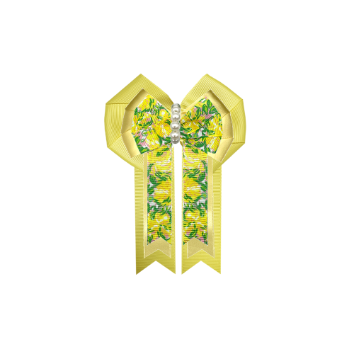 Custom Bow