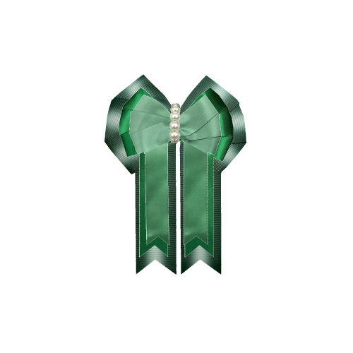 Custom Bow