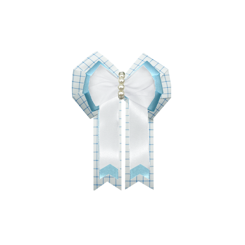 Custom Bow