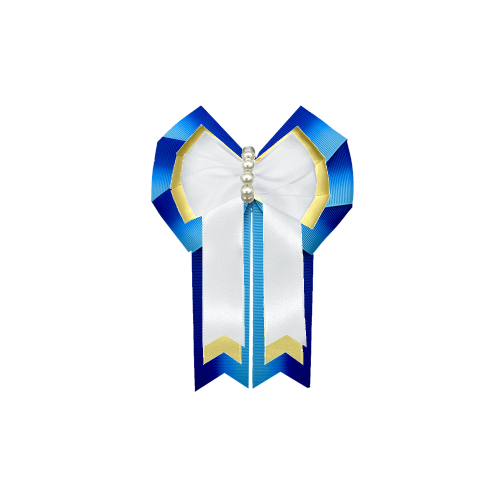 Custom Bow