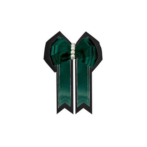 Custom Bow