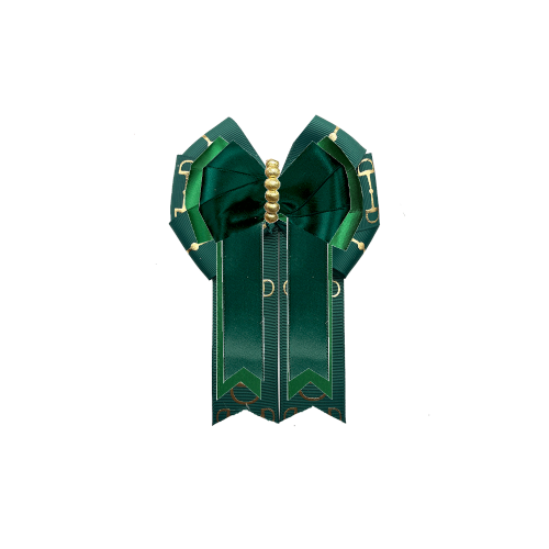 Custom Bow