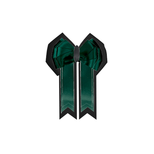 Custom Bow