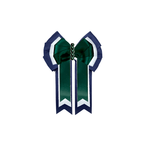 Custom Bow