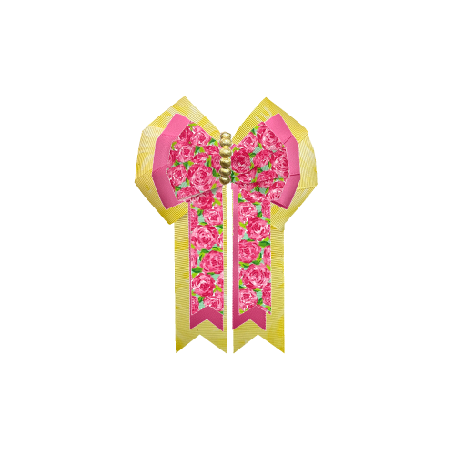 Custom Bow