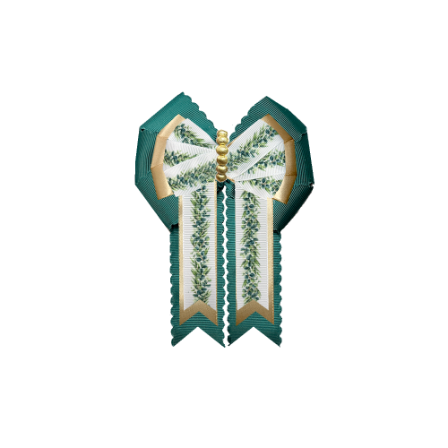 Custom Bow