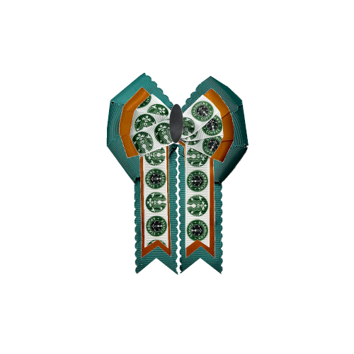Custom Bow