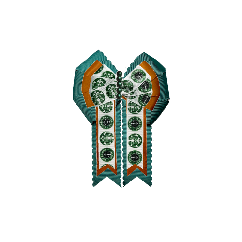 Custom Bow
