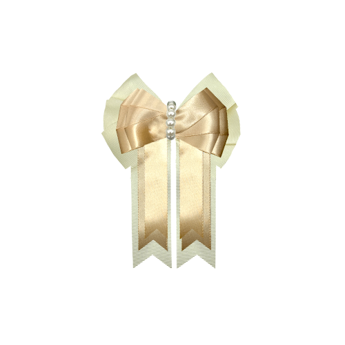 Custom Bow