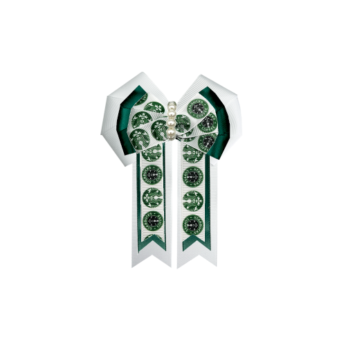 Custom Bow