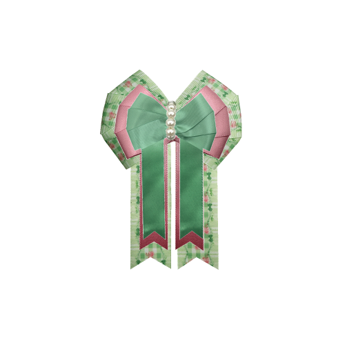Custom Bow