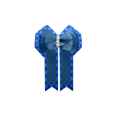 Custom Bow