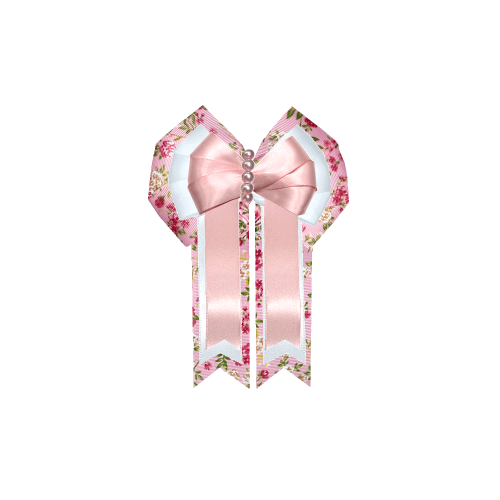 Custom Bow