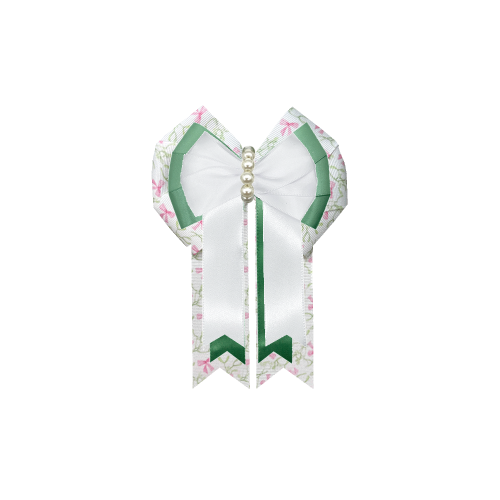 Custom Bow